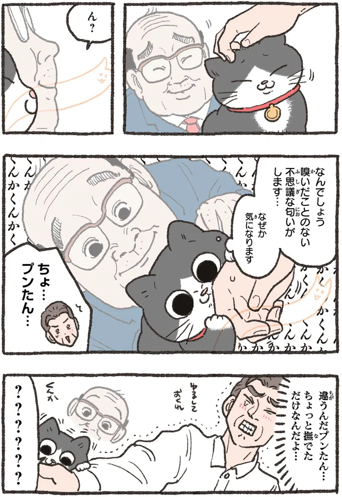 『ねこに転生したおじさん4』より