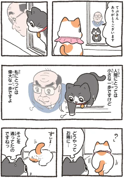 『ねこに転生したおじさん4』より