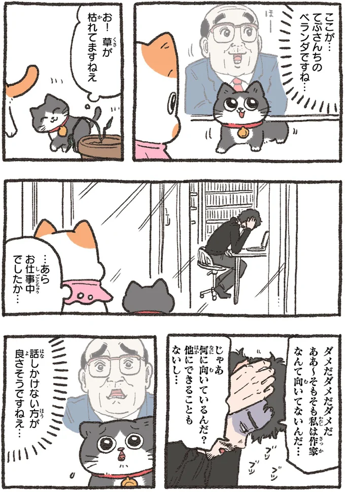 『ねこに転生したおじさん4』より