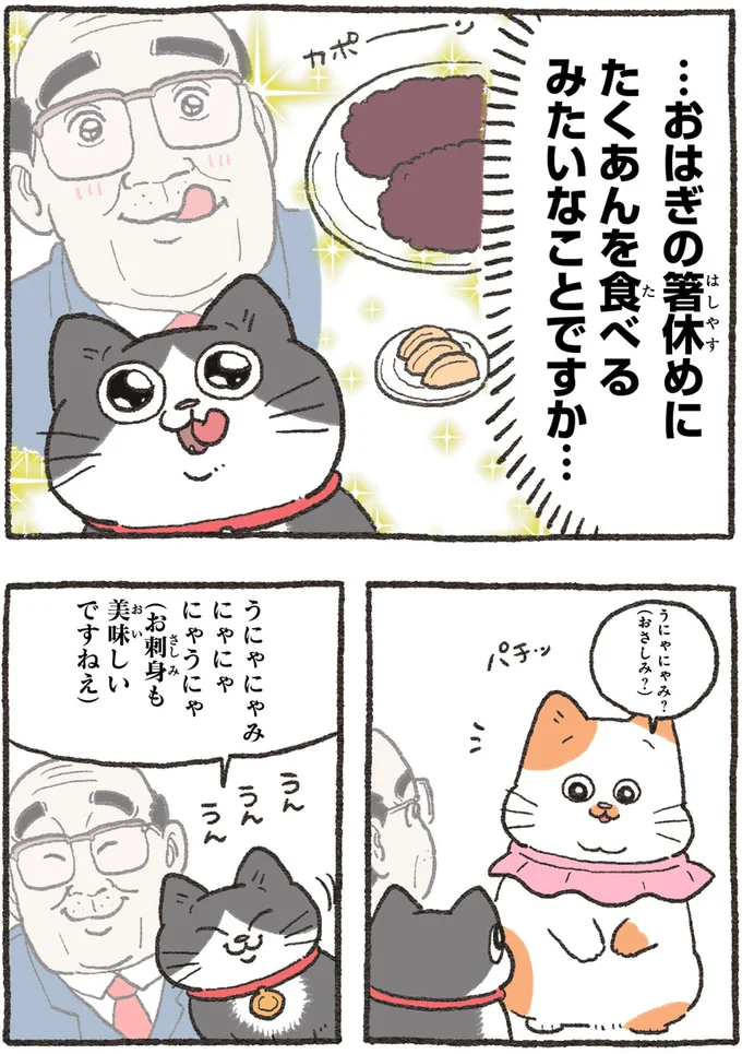 『ねこに転生したおじさん4』より
