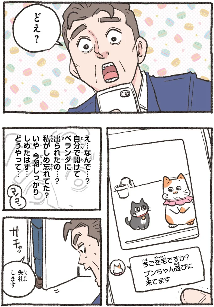 『ねこに転生したおじさん4』より