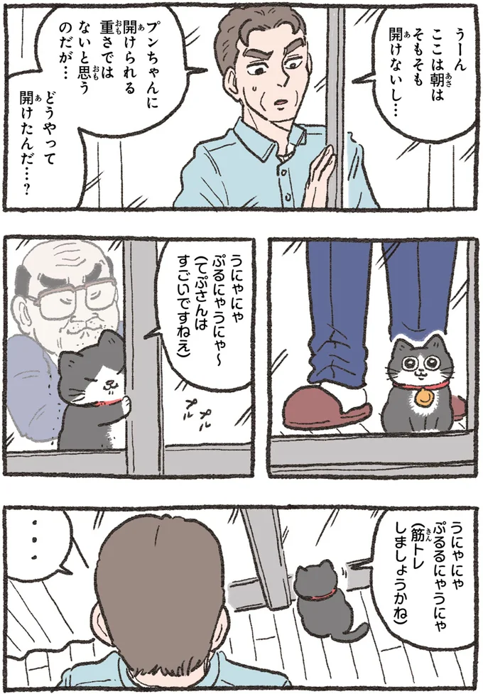 『ねこに転生したおじさん4』より