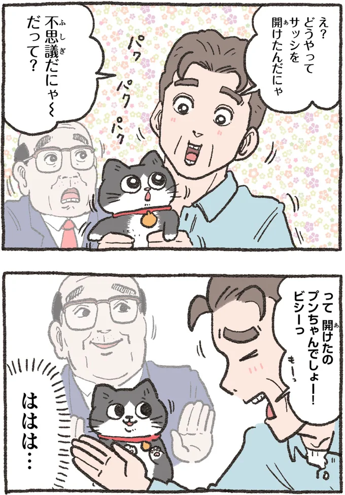 『ねこに転生したおじさん4』より