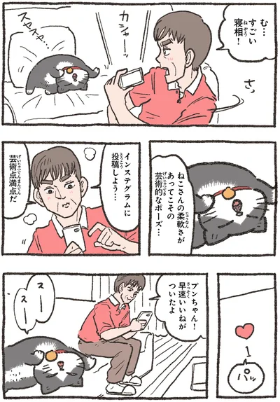 『ねこに転生したおじさん4』より