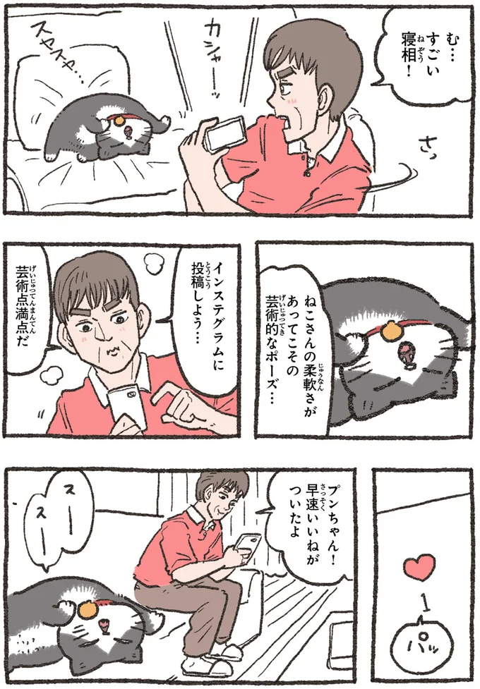 『ねこに転生したおじさん4』より