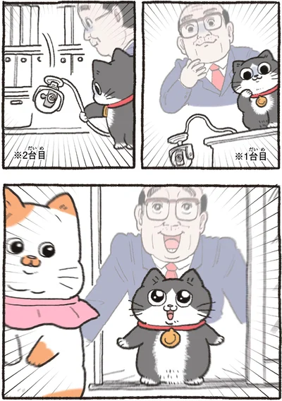 『ねこに転生したおじさん4』より