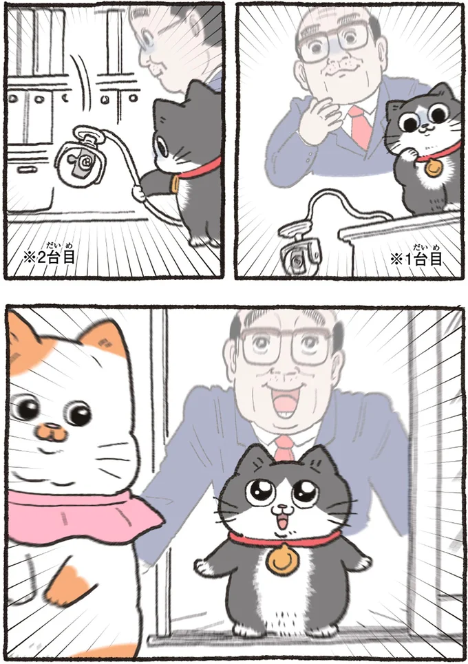 『ねこに転生したおじさん4』より
