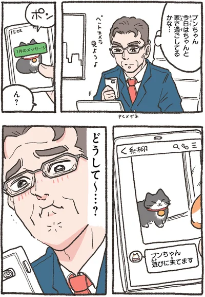 『ねこに転生したおじさん4』より