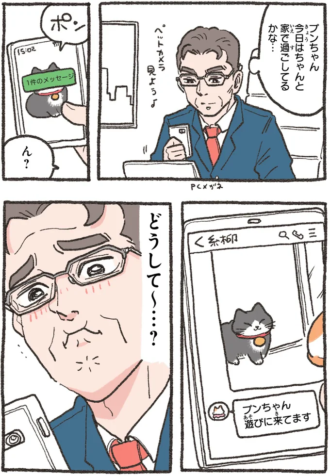 『ねこに転生したおじさん4』より