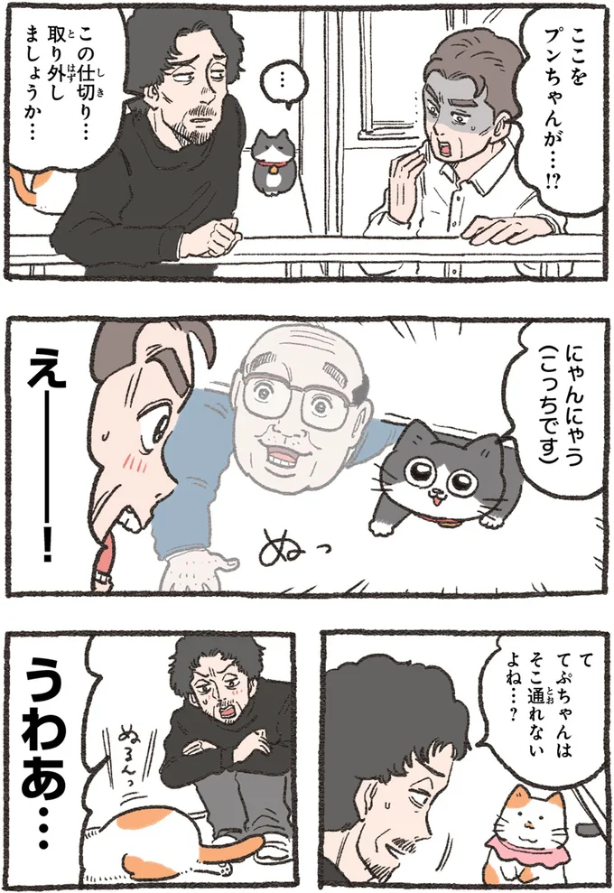 『ねこに転生したおじさん4』より