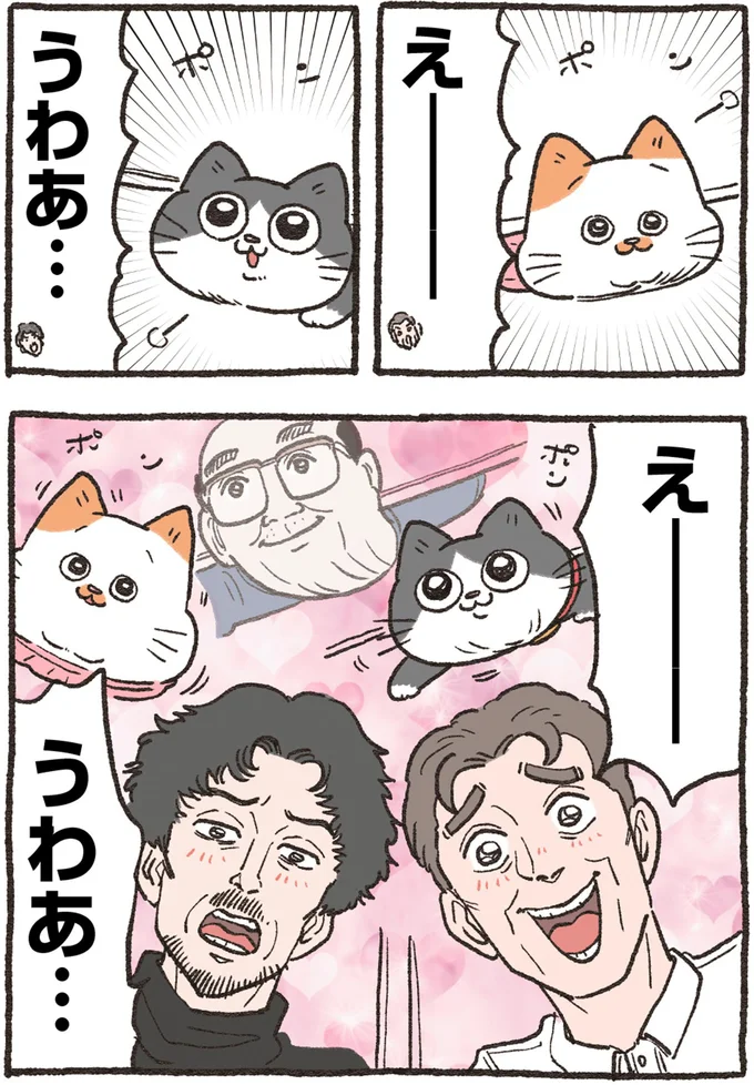 『ねこに転生したおじさん4』より