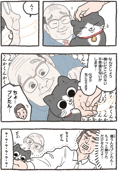 なぜか気になります