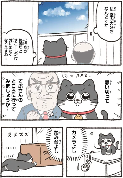 カメラよし　踏み台よし
