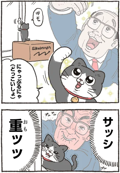 にゃっぷるにゃ（どっこいしょ）