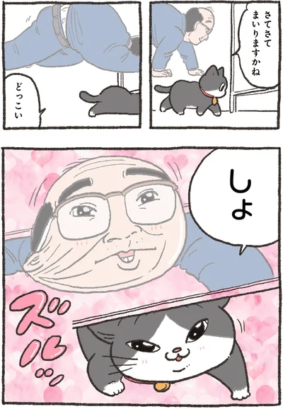 どっこいしょ