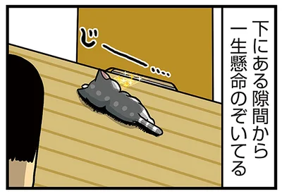 一生懸命のぞいてる