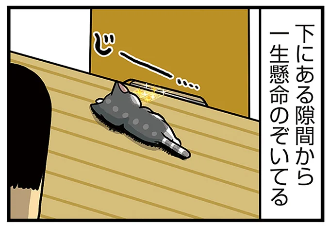 一生懸命のぞいてる