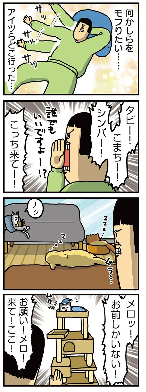 ヤンチャだけど根が優しい猫