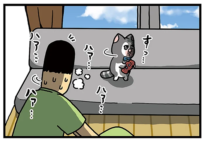 飼い主がなんか、すまんな。家ヨガをしていたら猫に目をそらされて／まめきちまめこニートの日常 こまちとタビ3（4）