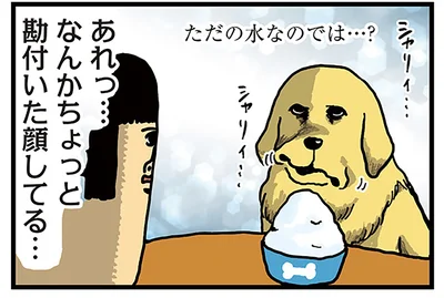 ちょっと勘付いた顔してる…