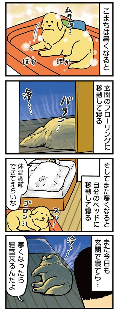 ゴールデンレトリバーは「心優しい」というのは本当です
