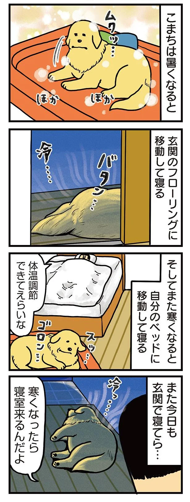 ゴールデンレトリバーは「心優しい」というのは本当です