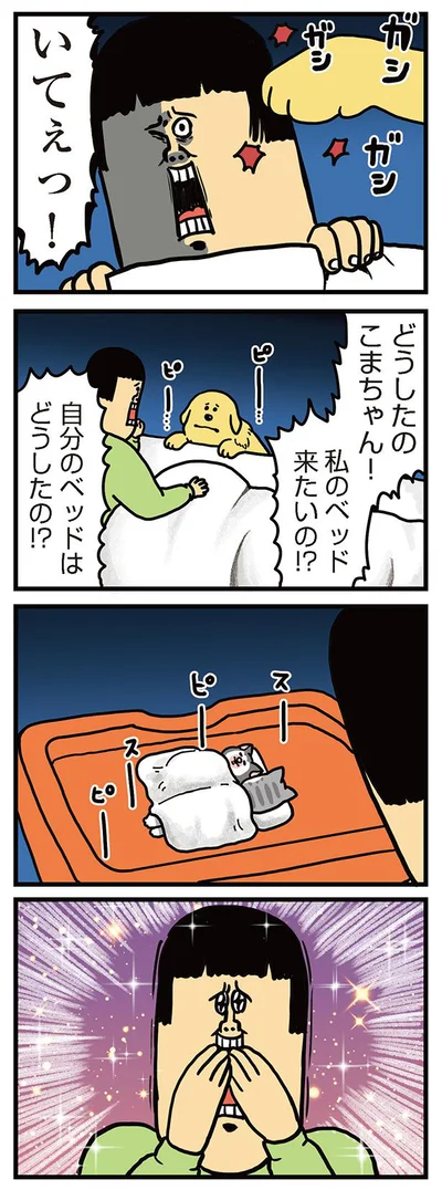 どうしたのこまちゃん！
