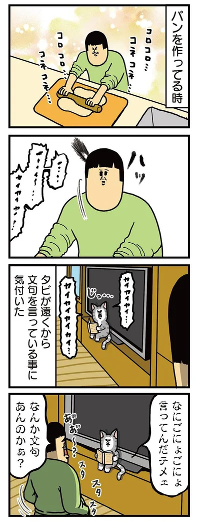 パン生地に何かしらの恨みがある猫