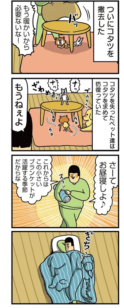 こたつを失ったペット達、ざわめき立つ