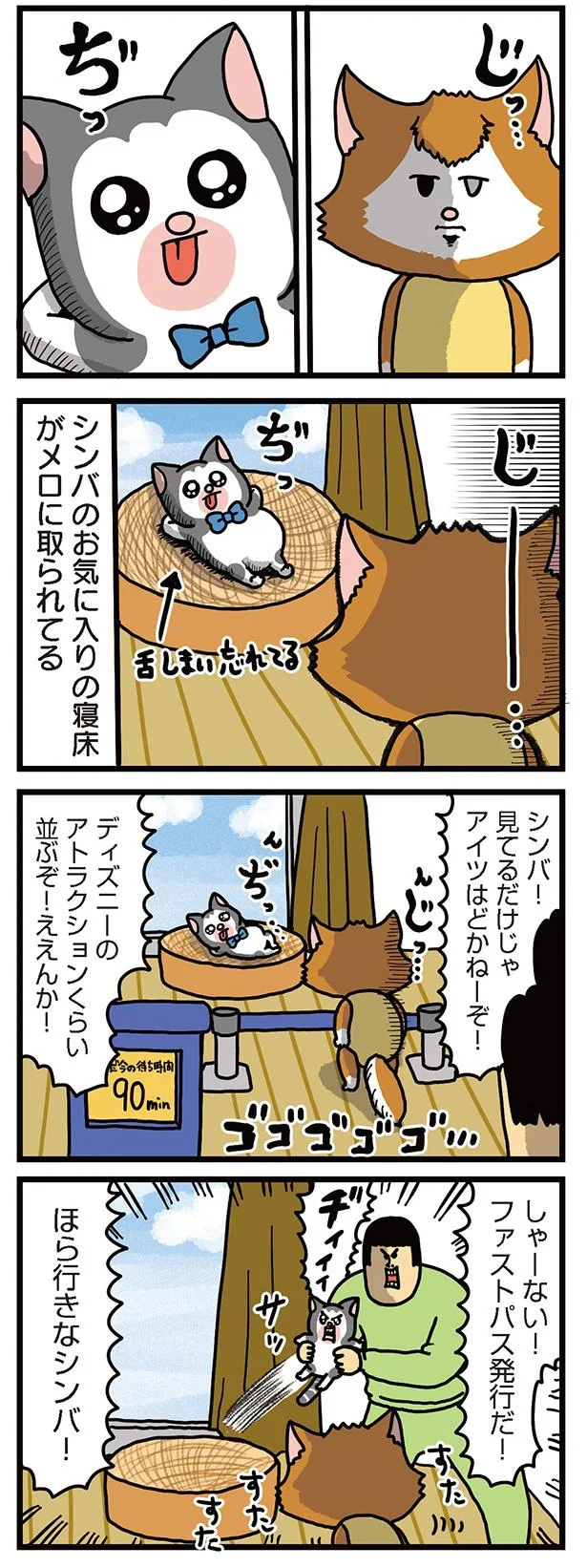夏なのに暑苦しい、うちの猫たち