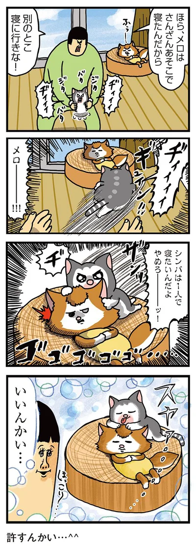 いいんかい…