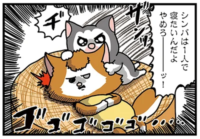 やめろーーー!!