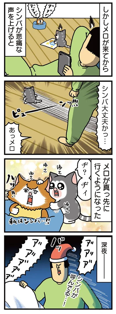 メロが真っ先にシンバの元へ