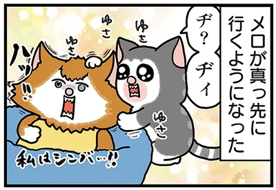 子猫が真っ先に