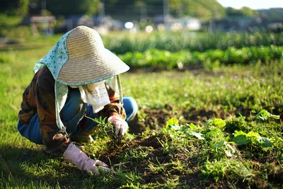こだわりの野菜を作る農家さん