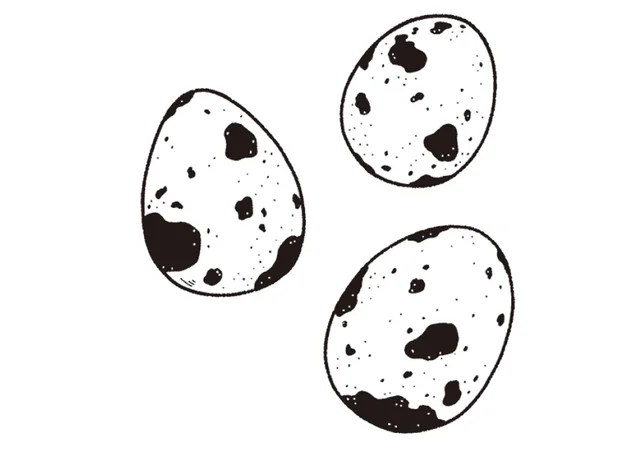 小さくても栄養ぎっしり。「うずら卵」で鉄分をちょい足し／鉄分ちょい足しごはん（6）