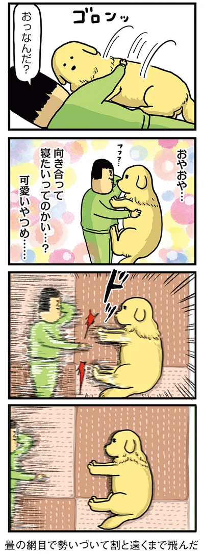 割と遠くまで飛んだ
