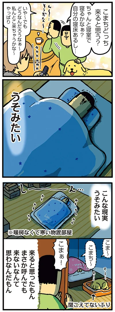『まめきちまめこニートの日常　こまちとタビ4』より