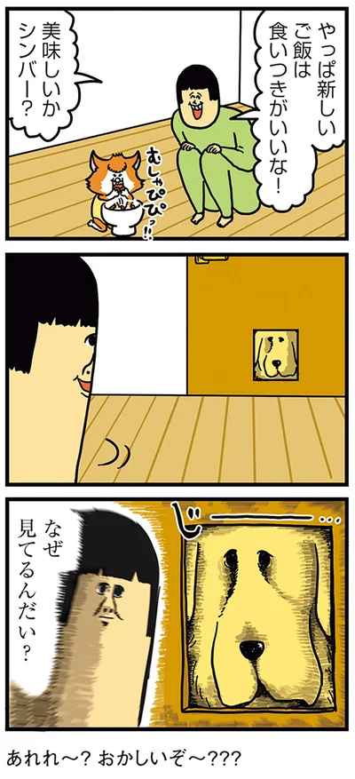 『まめきちまめこニートの日常　こまちとタビ4』より