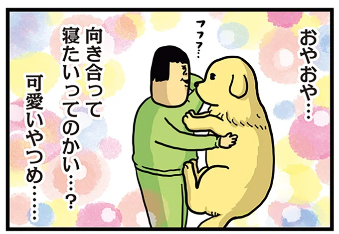 向き合って寝たいのかい…?
