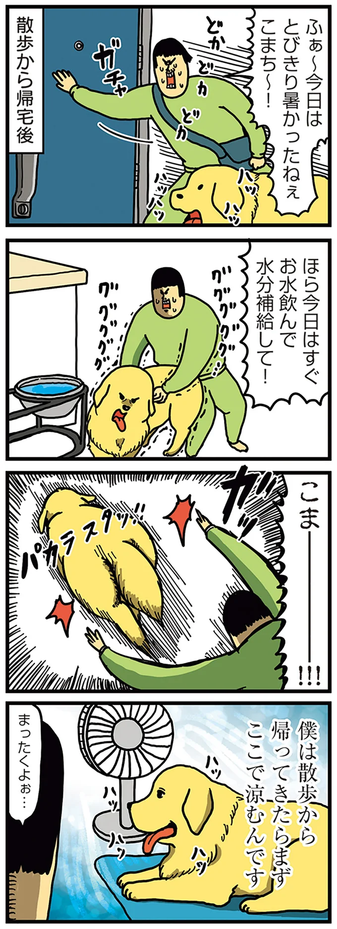 散歩から帰宅後