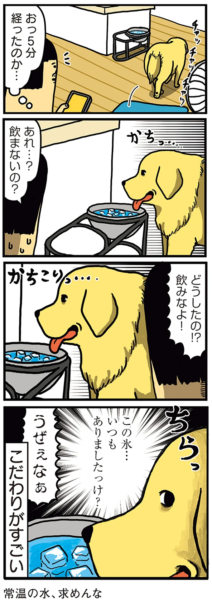 この氷…いつもありましたっけ？