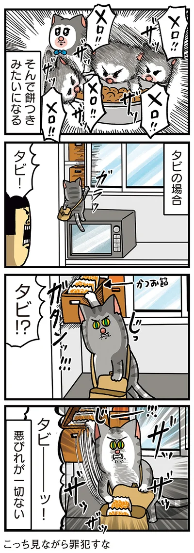 『まめきちまめこニートの日常　こまちとタビ5』より