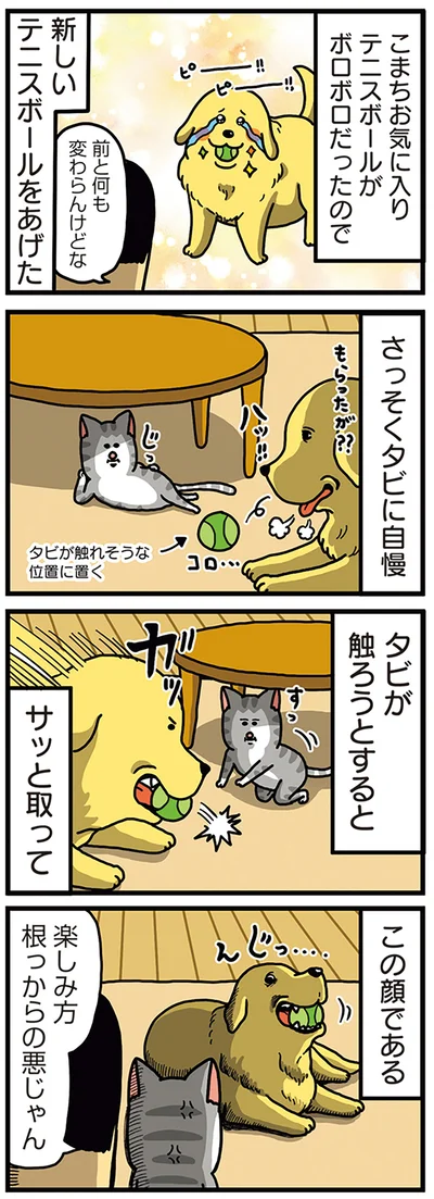 『まめきちまめこニートの日常　こまちとタビ5』より