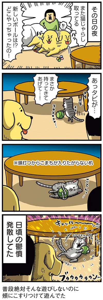 『まめきちまめこニートの日常　こまちとタビ5』より