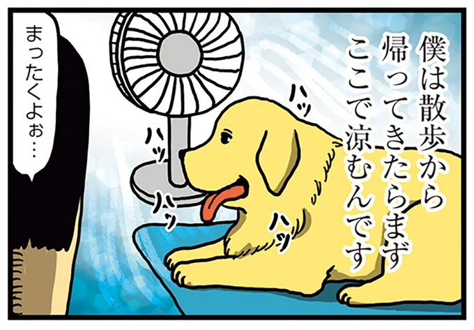 散歩から帰ってきたら…