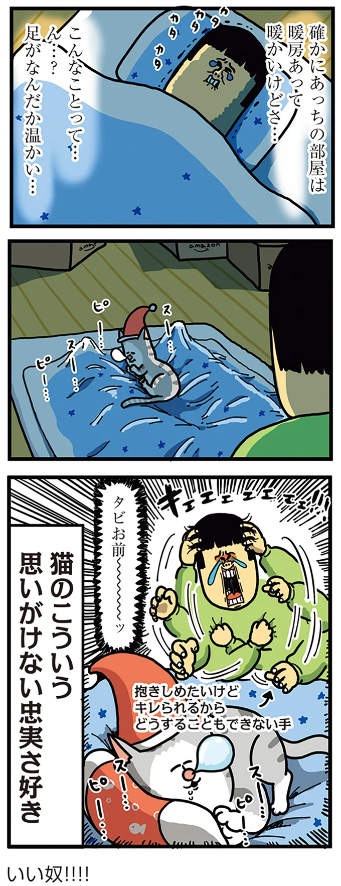 猫のこういう忠実さ好き