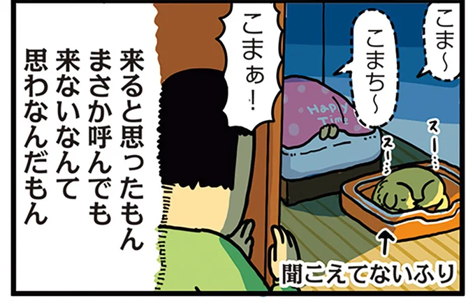 来ると思ったもん