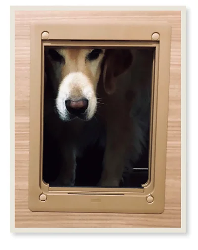 なぜそこにいるんだい？
