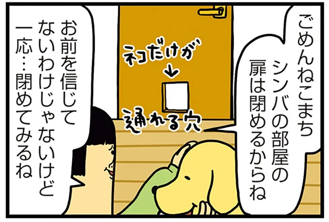 愛犬を信じてないわけじゃないけど。他の子のエサを食べている疑惑が浮上して／まめきちまめこニートの日常 こまちとタビ4（3）